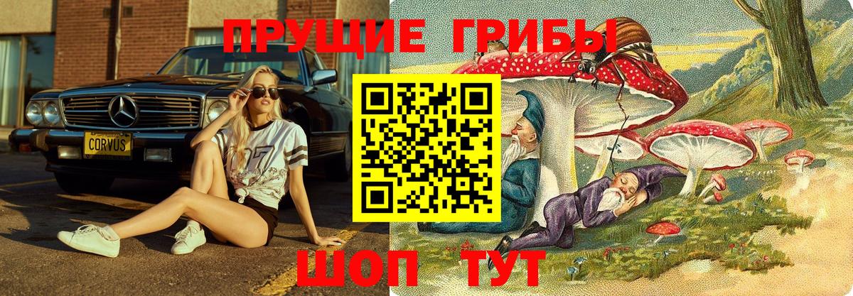 Галлюциногенные грибы ЛСД  Вход с VPN  Михайловск 